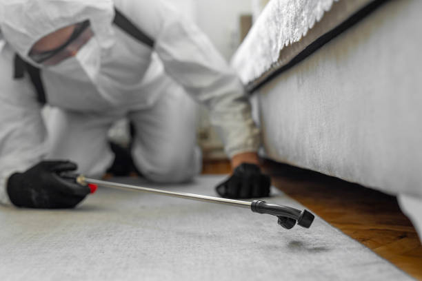 Professional Termite Control technician working in Chatsworth, GA