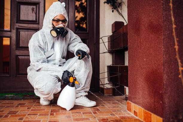 Reliable Termite Control contractor in Chatsworth, GA by Nex Pest Control